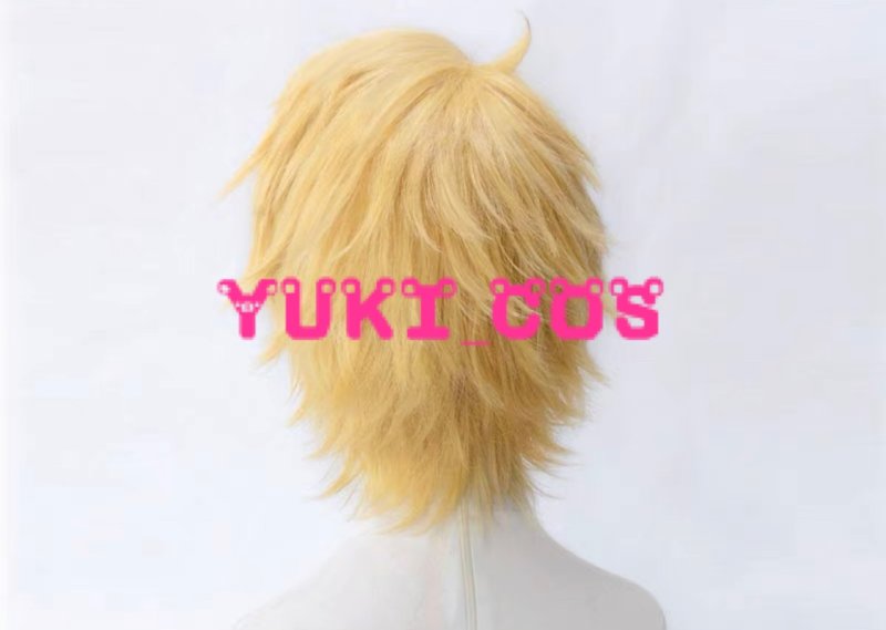 画像2: あんさんぶるスターズ!! あんスタ 鳴上嵐 コスプレウィッグ (2)