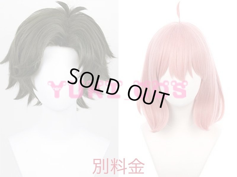 画像4: SPY×FAMILY スパイファミリー イーデン校 マント ダミアニャ アーニャ コスプレ マント 送料無料 (4)