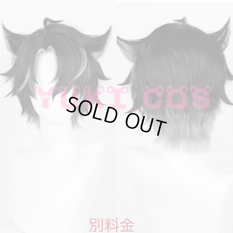 画像14: 原神 リオセスリ コスプレ衣装 高級版 送料無料 (14)