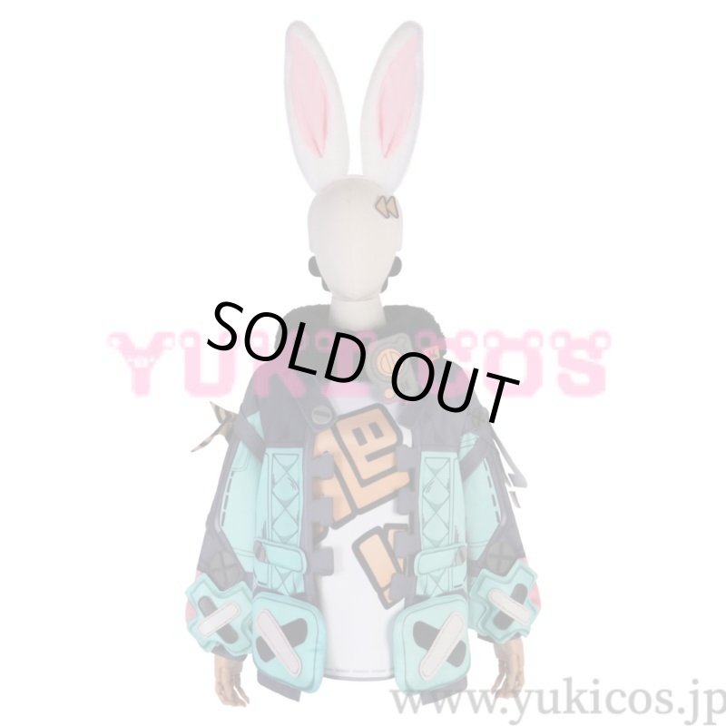 画像1: プロジェクトムゲン 　Project Mugen　タフェー　TAFFY　コスプレ衣装　送料無料 (1)