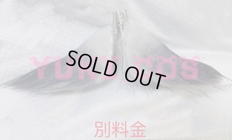 画像14: 明日方舟 アークナイツ 大陸版 Arknights レッシング Lessing コスプレ衣装 送料無料 (14)