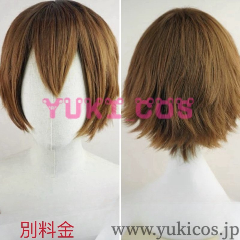 画像12: Fate/Grand Order FGO Fate/EXTRAシリーズ 岸波白野 ムーンキャンサー 男主人公 ザビ男 コスプレ衣装 送料無料 (12)