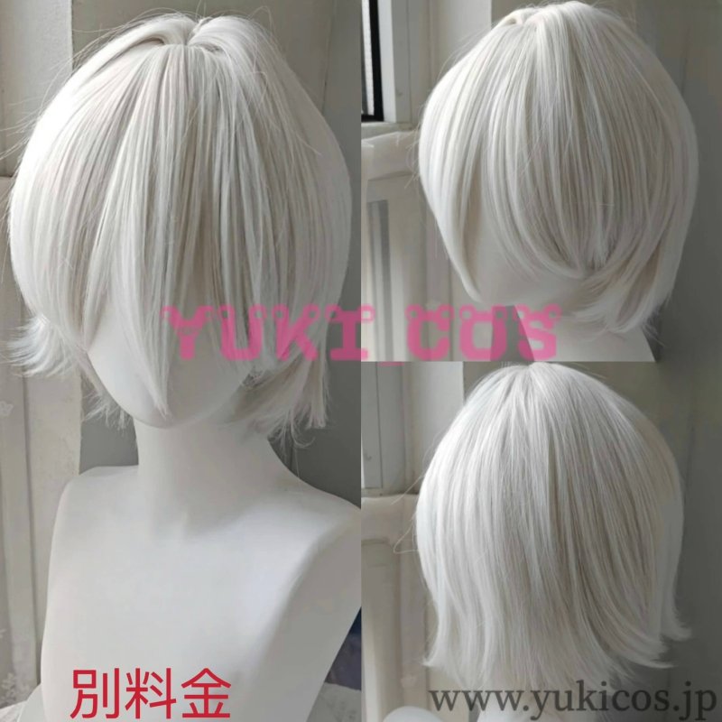 画像18: あんさんぶるスターズ! あんスタ Special for Princess! スペシャル・フォー・プリンセス エスプリ 夢見るユニコーンの王子さま エス カンナ ユメ ライカ 冴霧笑主  花群冬芽 名都神無  宝丈萊香  コスプレ衣装 送料無料 (18)