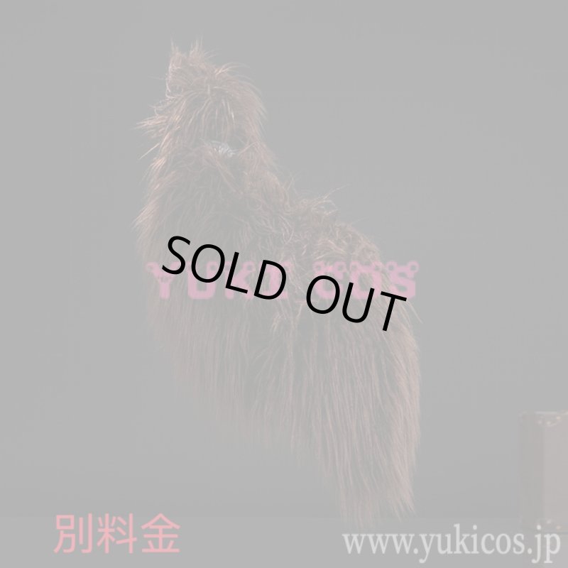 画像21: Wuthering Waves　鳴潮　メイチョウ　Lupa　ルパ　コスプレ衣装　送料無料 (21)