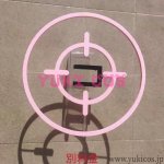 画像11: ブルーアーカイブ　ブルアカ　桐藤ナギサ　聖園ミカ　柚鳥ナツ　白洲アズサ　体操服　コスプレ衣装　送料無料 　 (11)