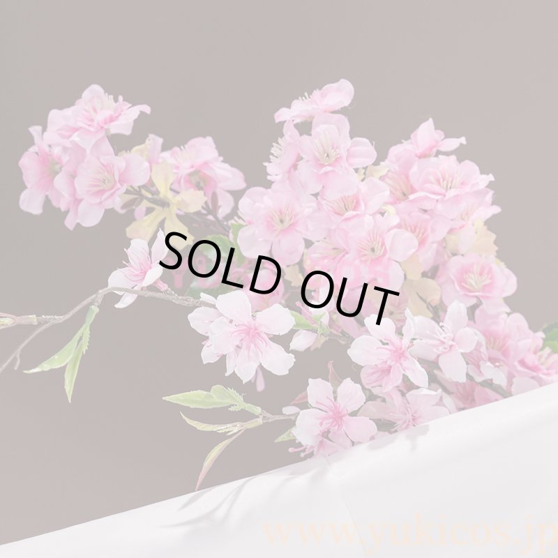 画像13: 明日方舟　Arknights　アークナイツ　澪　コスプレ衣装　送料無料 (13)