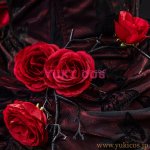 画像10: IdentityV　第五人格　アイデンティティV　少女　ミズ・ボムグラナトプレート　UR衣装　コスプレ衣装　送料無料 (10)