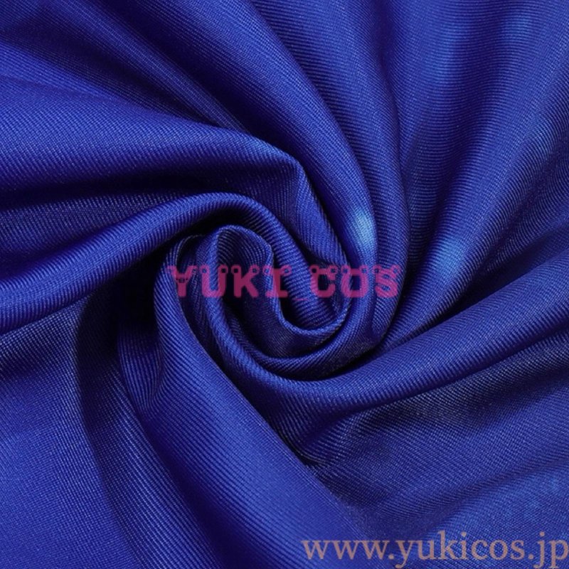 画像14: Vtuber　にじさんじ　Dytica　デビュー2周年　小柳ロウ　コスプレ衣装　送料無料 (14)