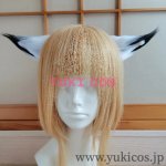 画像20: アークナイツ　明日方舟　荒廃ラップランド　コスプレ衣装　送料無料 (20)