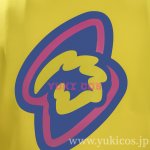 画像11: ポケットモンスター　Pokémon LEGENDS Z-A　ポケモンレジェンズゼットエー　Canari　カナリィ　コスプレ衣装　送料無料 (11)