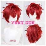 画像15: あんさんぶるスターズ！！　あんスタMusic　⁠SELECTION 10 UNIT SONG 05 記念スカウト『Ai☆$!!』　輝くAi☆$　明星スバル　進むAi☆$　天城一彩　誇るAi☆$　葵ゆうた　荒ぶるAi☆$　天城燐音　渾身のAi☆$　エス　コスプレ衣装　送料無料 (15)