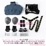 画像2: Absolute Universe　アブソリュートユニバース　Catwoman　キャットウーマン　コスプレ衣装　送料無料 (2)