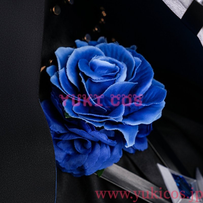 画像11: Dragon Raja: Cassell's Gate　Zero　コスプレ衣装　送料無料 (11)