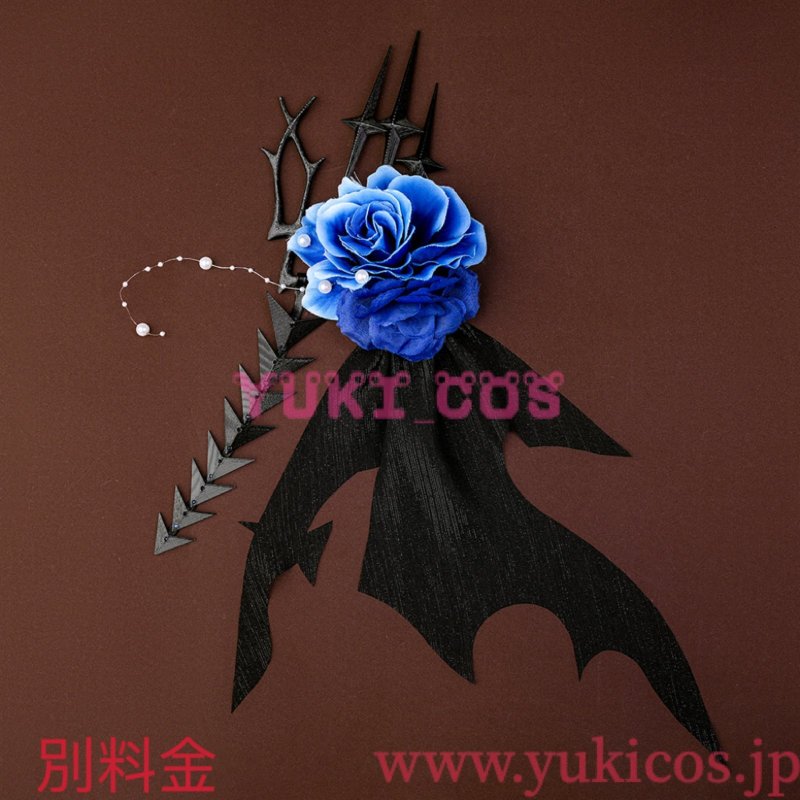 画像15: Dragon Raja: Cassell's Gate　Zero　コスプレ衣装　送料無料 (15)