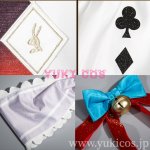 画像13: 崩壊スターレイル　崩スタ　Sparkle　火花　Ver4.0　コスプレ衣装　送料無料 (13)