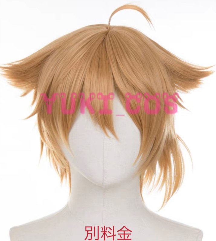 画像6: バーチャルYouTuber Vtuber にじさんじ　伏見ガク　ふしみがく　通常服　コスプレ衣装　送料無料 (6)