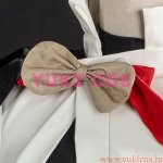画像4: The Ribbon Hero　リボンヒーロー　サファイア　Sapphire　騎士服　コスプレ衣装　送料無料 (4)