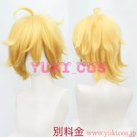 画像17: 凹凸世界　おうとつせかい　Aotu World　10周年記念　神と交わした約束へ　ジン　金　King　コスプレ衣装　送料無料 (17)