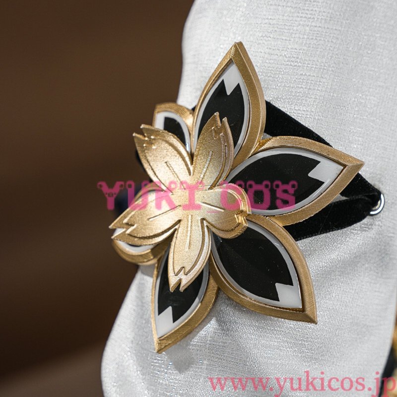 画像11: 崩壊スターレイル　崩スタ　Evanescia　緋英　ひえい　コスプレ衣装　送料無料 (11)