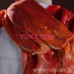 画像5: アイデンティティ5　Identity V　第五人格　火災調査員　UR衣装　霊狐　コスプレ衣装　送料無料 (5)