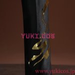 画像15: 崩壊スターレイル　崩スタ　開拓者新コーデ　Caelus　穹　飛竜乗雲　コスプレ衣装　送料無料 (15)