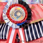 画像8: プロジェクトセカイ　プロセカ　望月穂波　五周年感謝祭　コスプレ衣装　送料無料  (8)