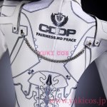 画像5: 剣星：血の雨　イヴィ　コスプレ衣装　送料無料 (5)
