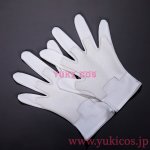 画像9: 剣星：血の雨　イヴィ　コスプレ衣装　送料無料 (9)