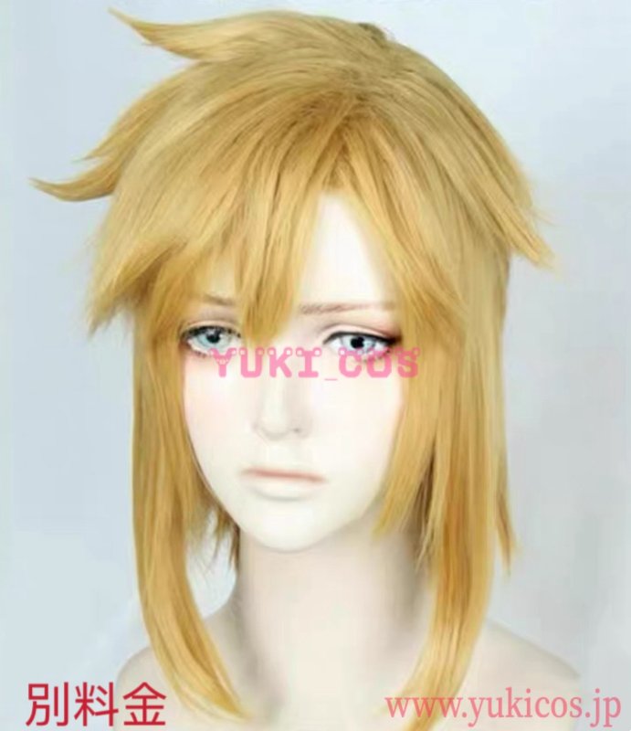 画像12: ゼルダの伝説　時のオカリナ　リンク　コスプレ衣装　送料無料 (12)